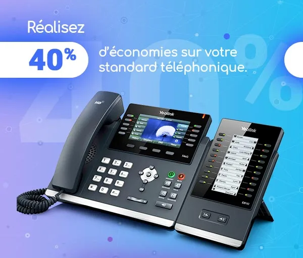 Campagne emailing réalisée pour Standard téléphonique
